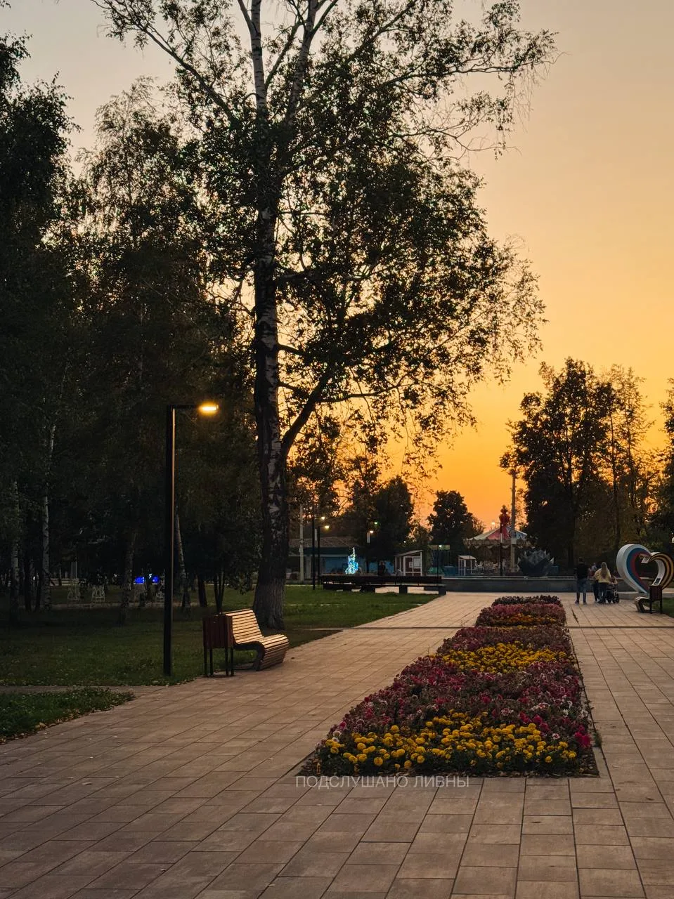 Прекрасный вечер, хорошо, что дождика нет 🫣😻