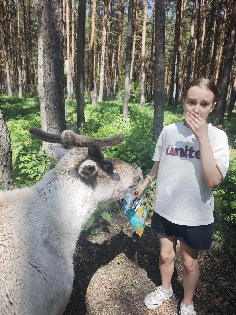 Ты как здесь оказался, Клаус? 🦌