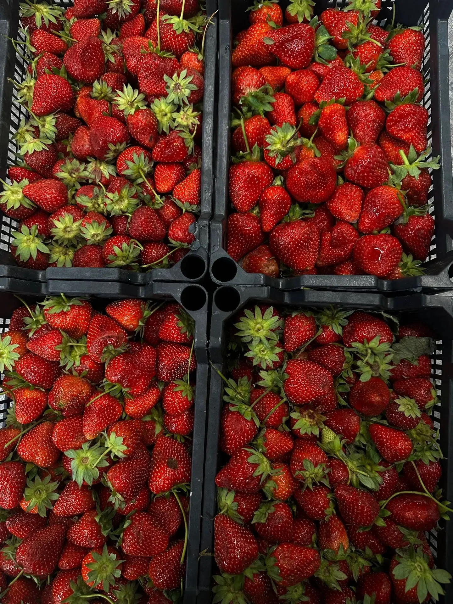 Клубника для варенья 🍓

Цена 290 руб/кг