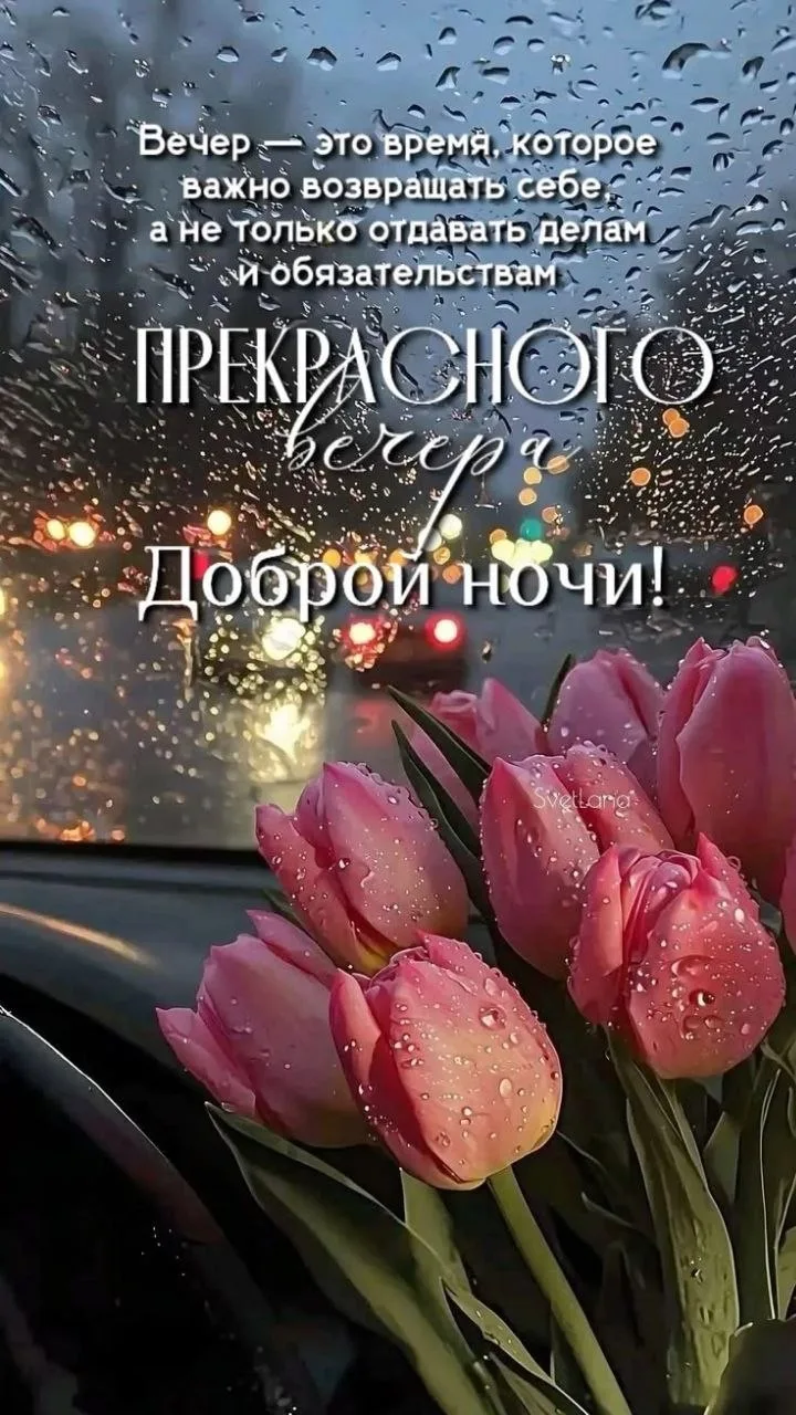 🥰 Оставляйте реакции, если понравилась открытка и делитесь с близкими ❤️

Лучшие Открытки в MAX