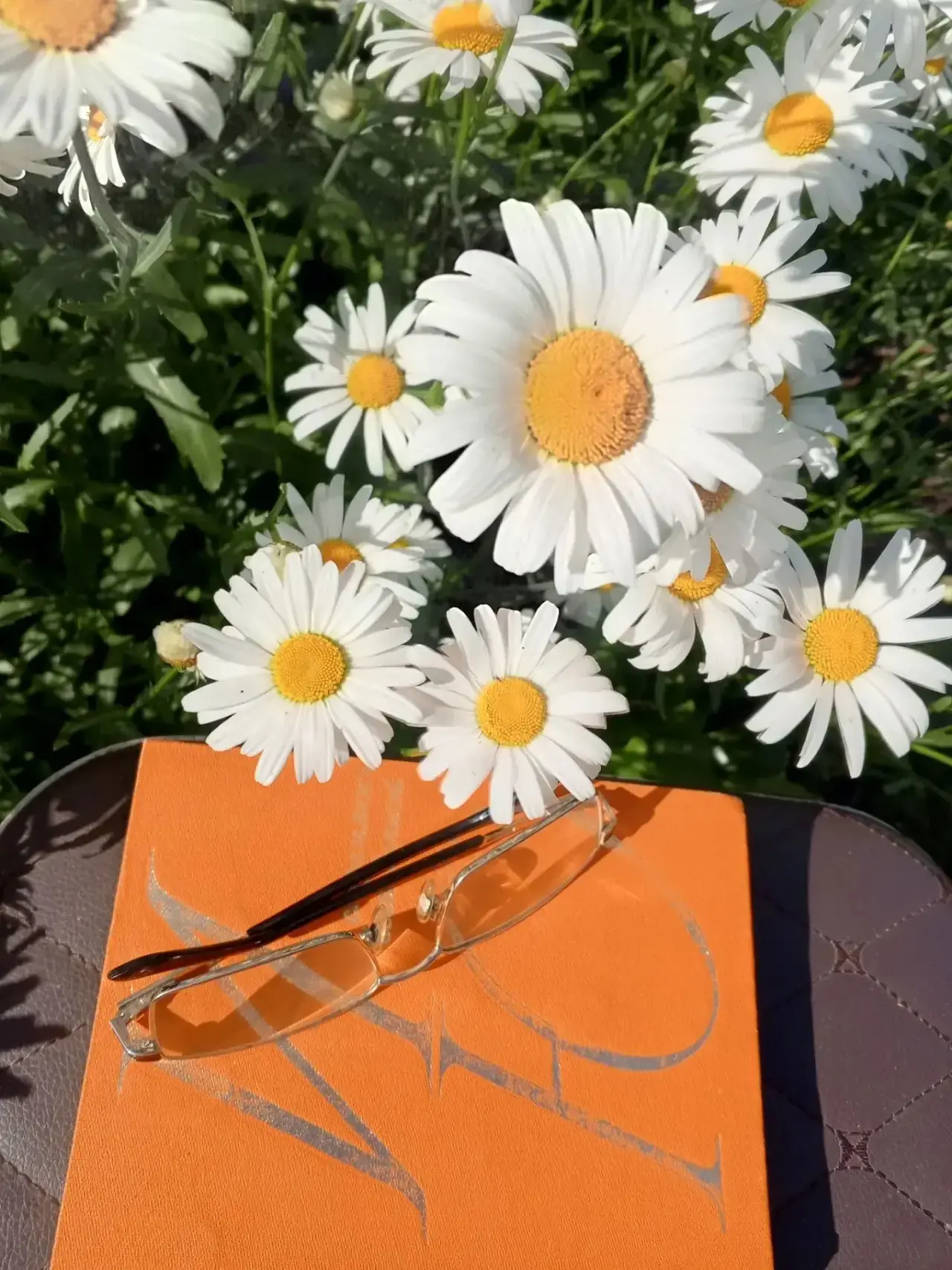 Доброе ромашковое утро! 🌼 Пусть день будет светлым, радостным и спокойным. Наслаждайтесь каждым мгн