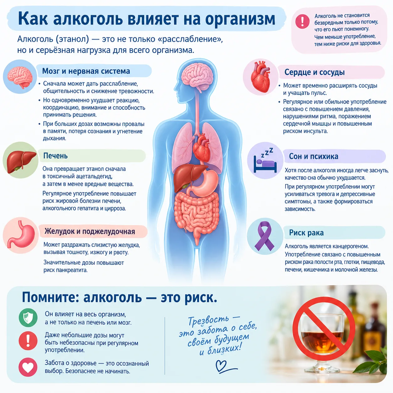 🍷 Как алкоголь влияет на организм?