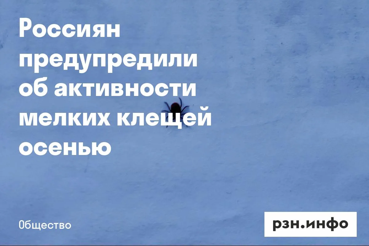 Россиян предупредили об активности мелких клещей осенью