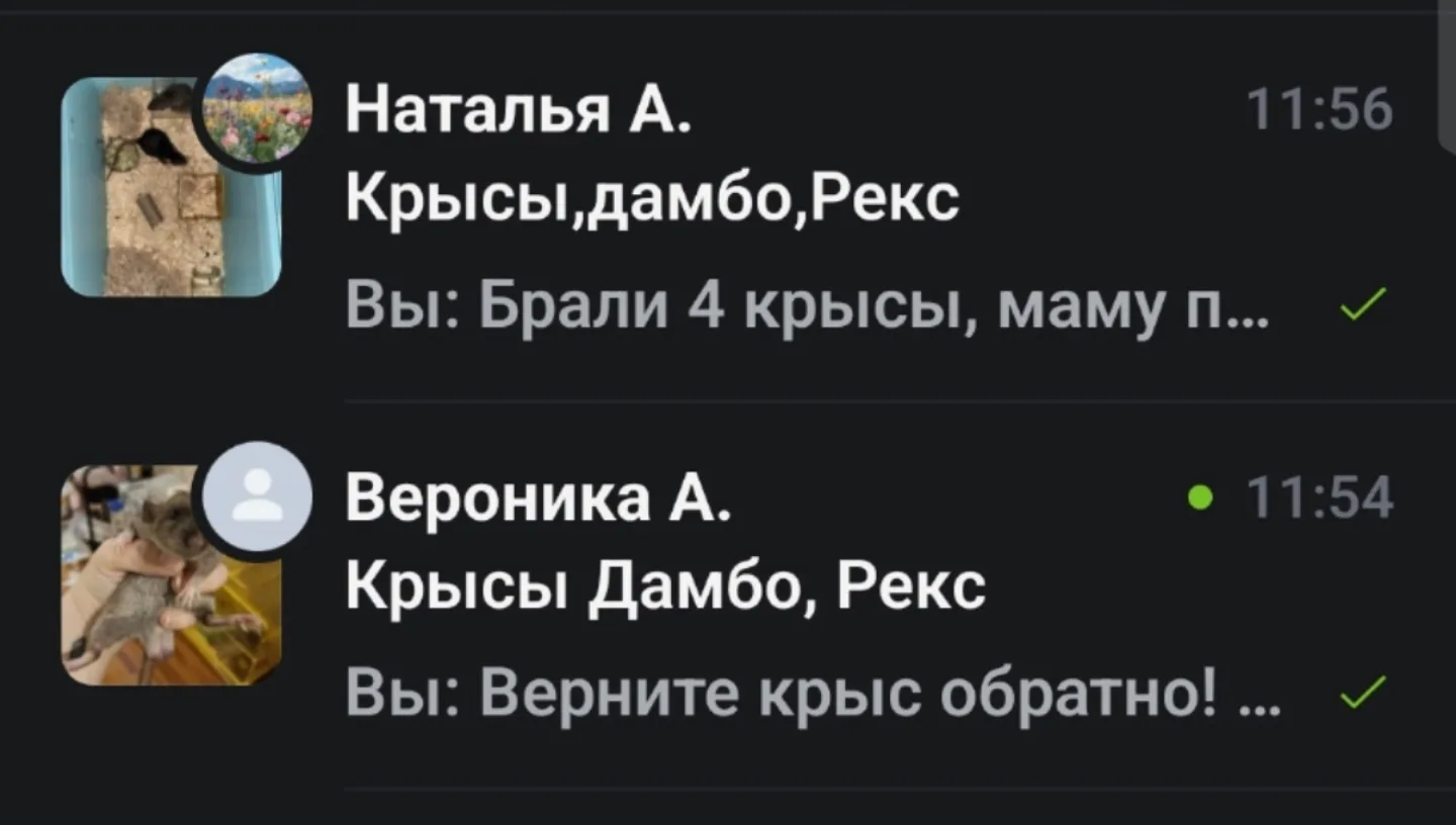 Будьте осторожны при передаче животных в добрые руки. В Краснотурьинске появились случа...