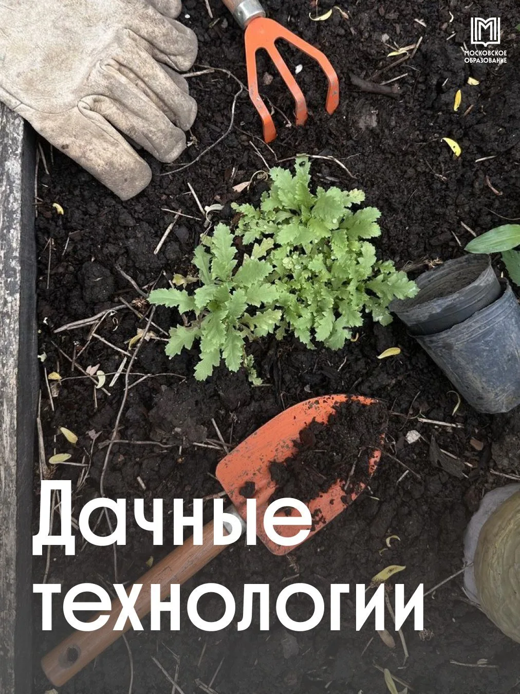 🪏 Кто сказал, что на даче всё нужно делать своими руками? 

Если ты из инженерного класса — можно н