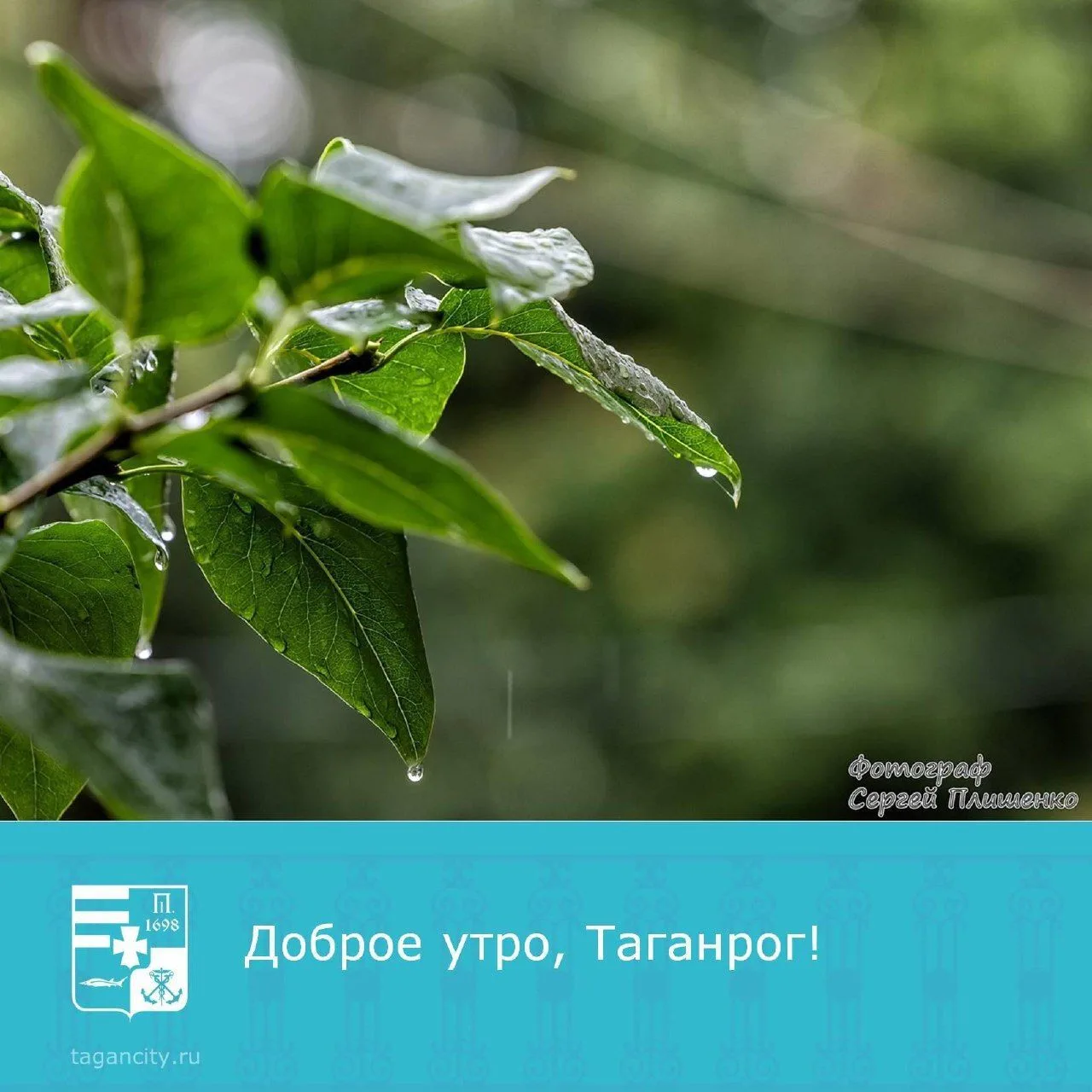 Хорошего настроения в любую погоду! 🙂

Фото: Сергей Плишенко.
