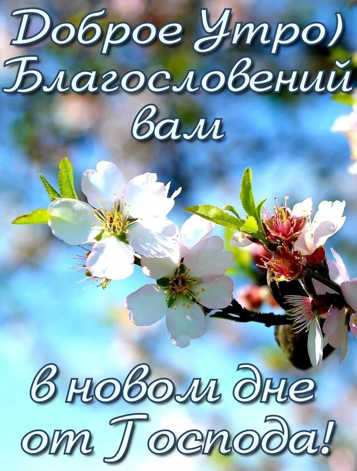 7 ОКТЯБРЯ 🍂✝️
