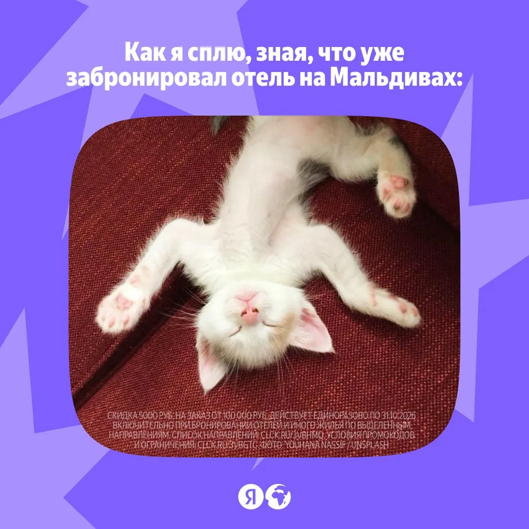 Полный чилл 🐥