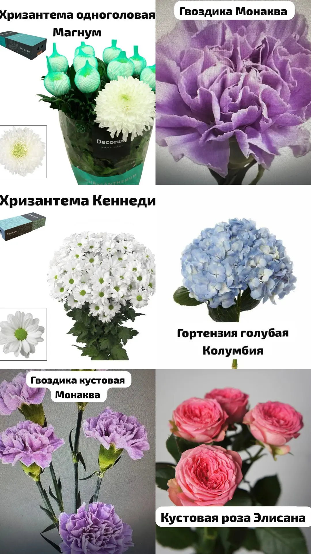 Дорогие оптовики к понедельнику ждём свежую поставку цветка . Кому что забронировать пи...