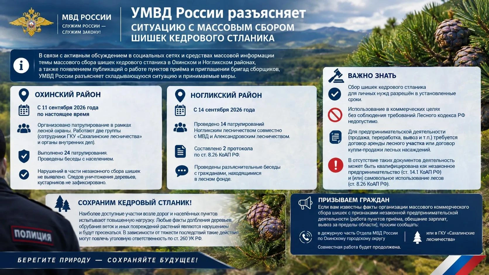 ⚠️ Полиция разъясняет ситуацию со сбором шишек кедрового стланика на севере Сахалина