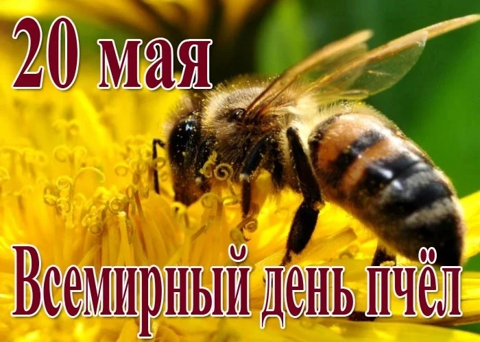 Так устроена природа: