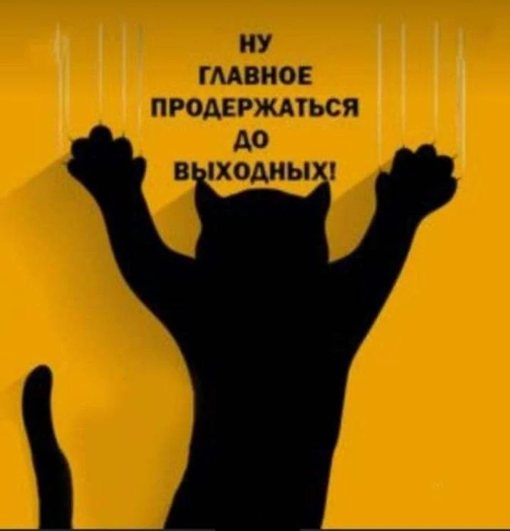 В июне 2026 года период отдыха в связи с празднованием Дня России продлится с 12 по 14 ...