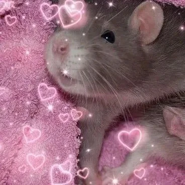 ❤️ - поставим
🖤 - мне не нравится