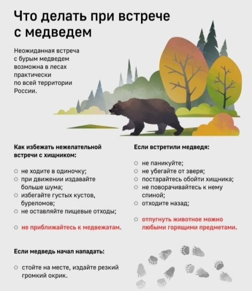 В связи с участившимися случаями появления диких животных вблизи населенных пунктов спе...