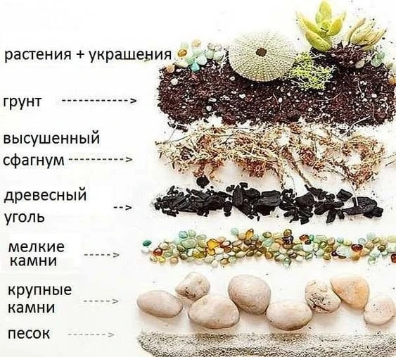 Последовательность слоев в флорариуме 
Все просто и понятно.