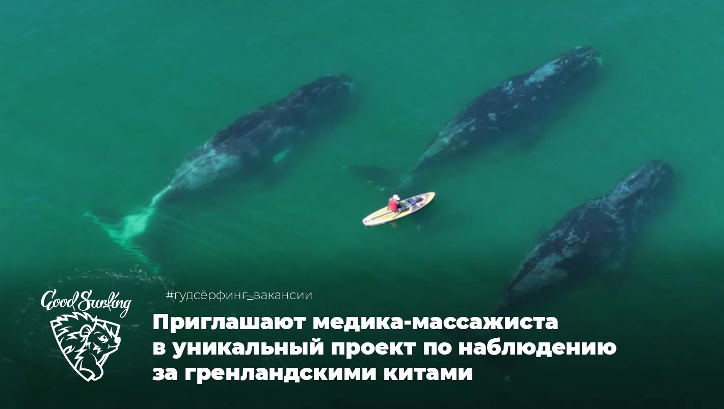 Проект приглашает медика-массажиста присоединиться к команде по организации эко-глэмпин...