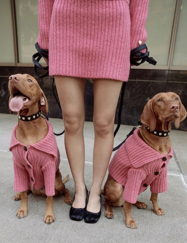 Look с питомцами 😍 Pinterest ❤️