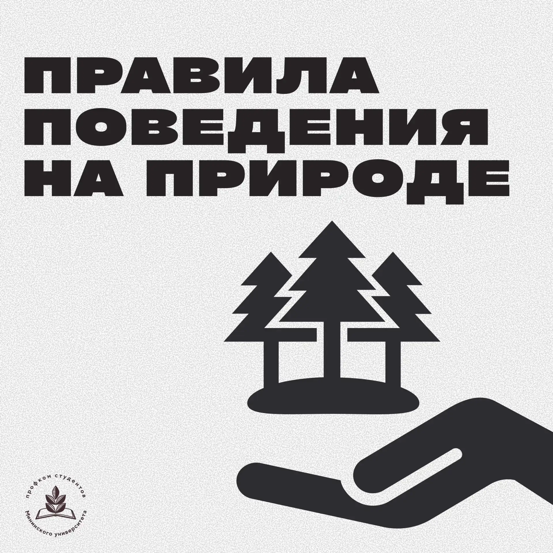 🌳 Едешь отдыхать на майские праздники?