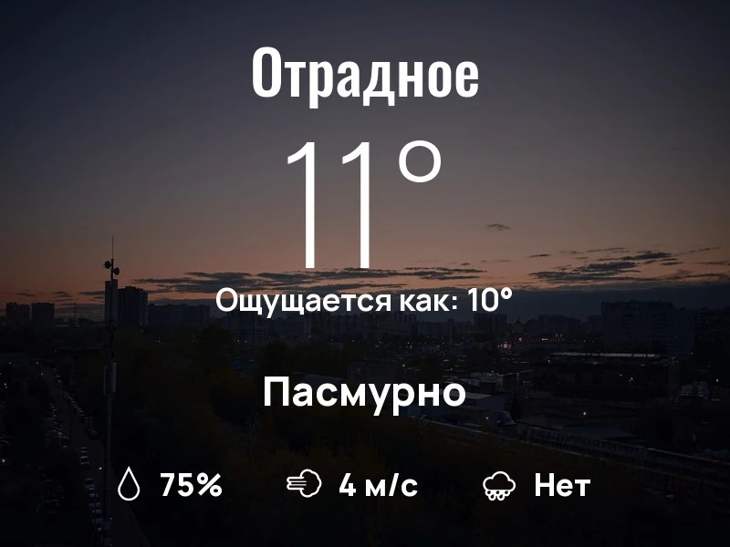 Что с погодой в Отрадном?