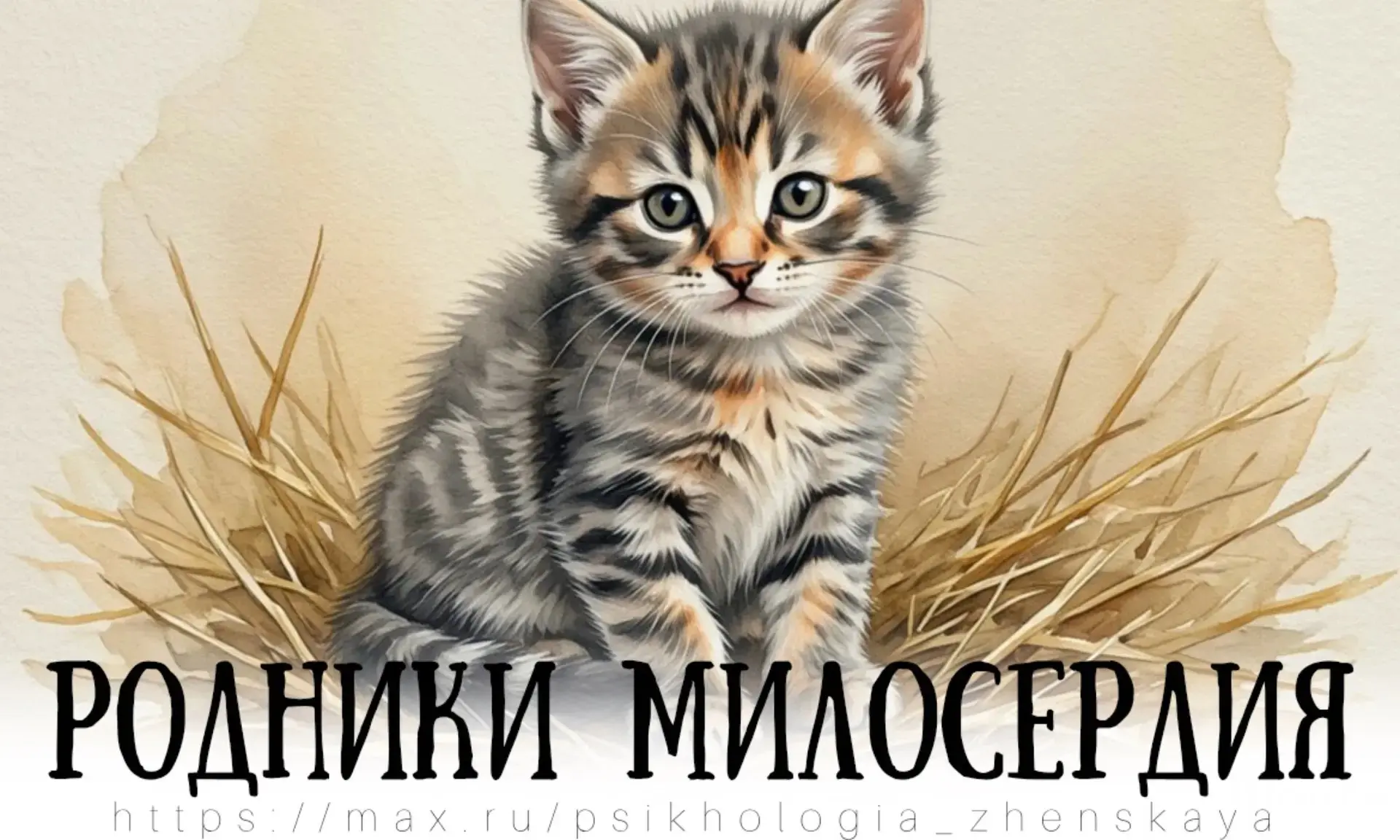 – Твой котенок стал много есть! – Заявил глава кошачьего прайда молоденькой кошке. – То...