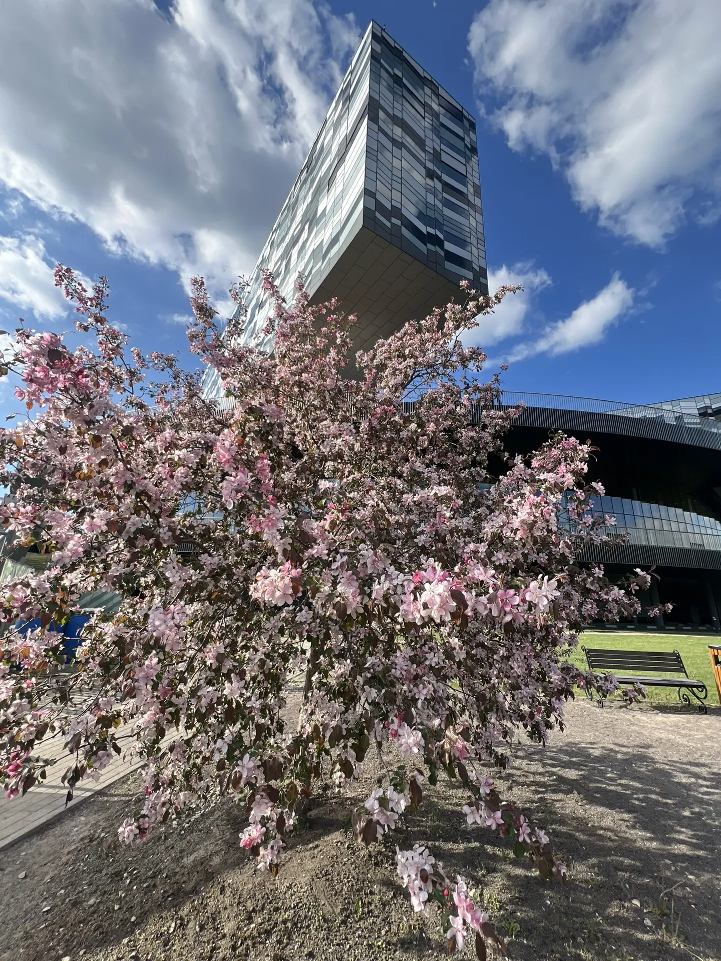 🌸Так красиво в Московской школе управления Сколково.
