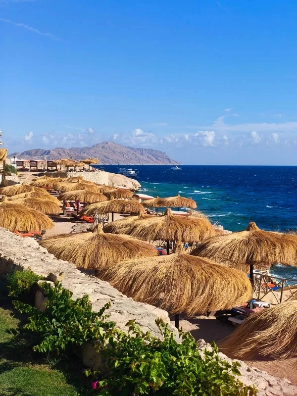 🇪🇬 Египет вылет из Тюмени ✈️