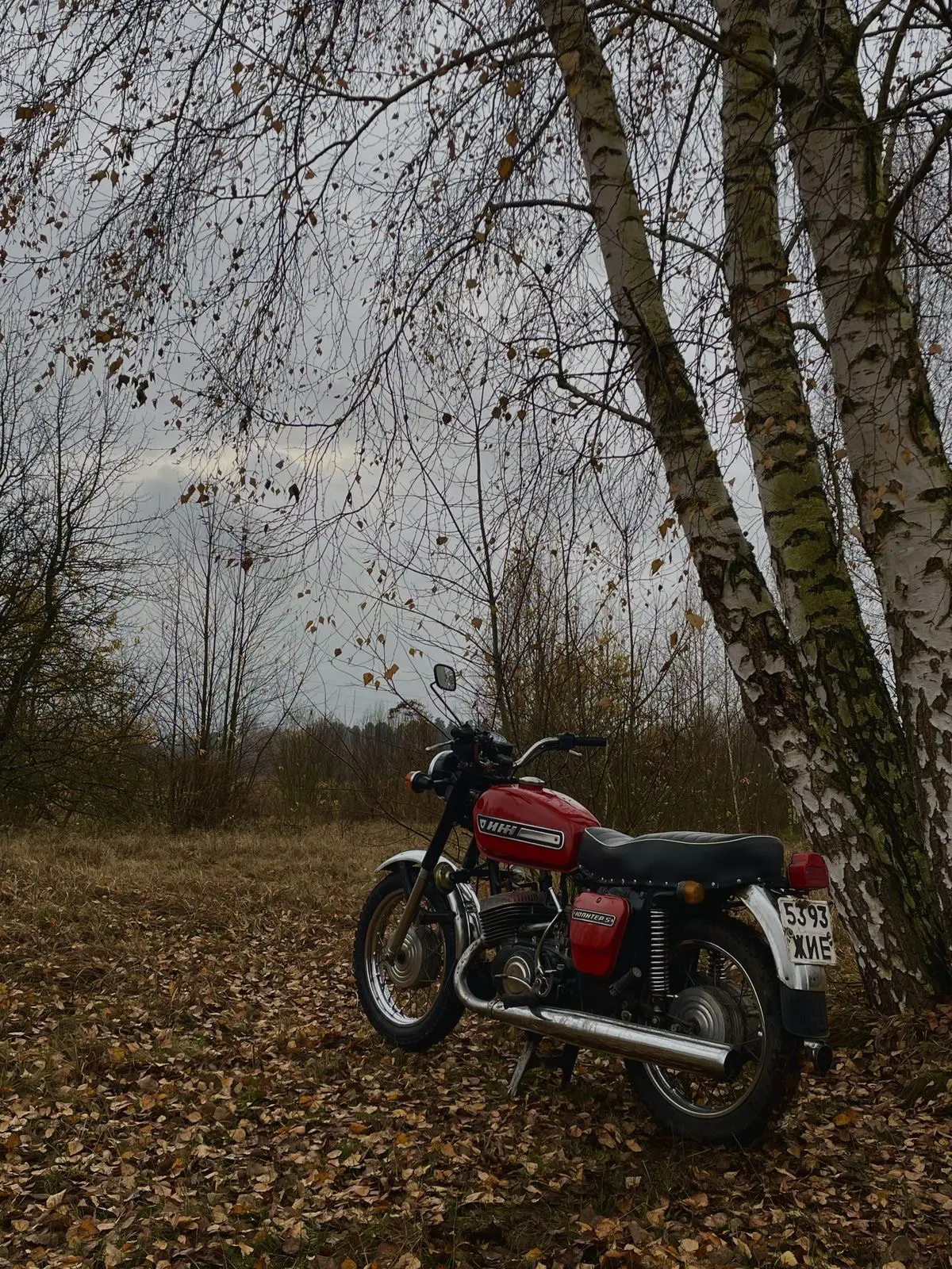 Осенний вайб