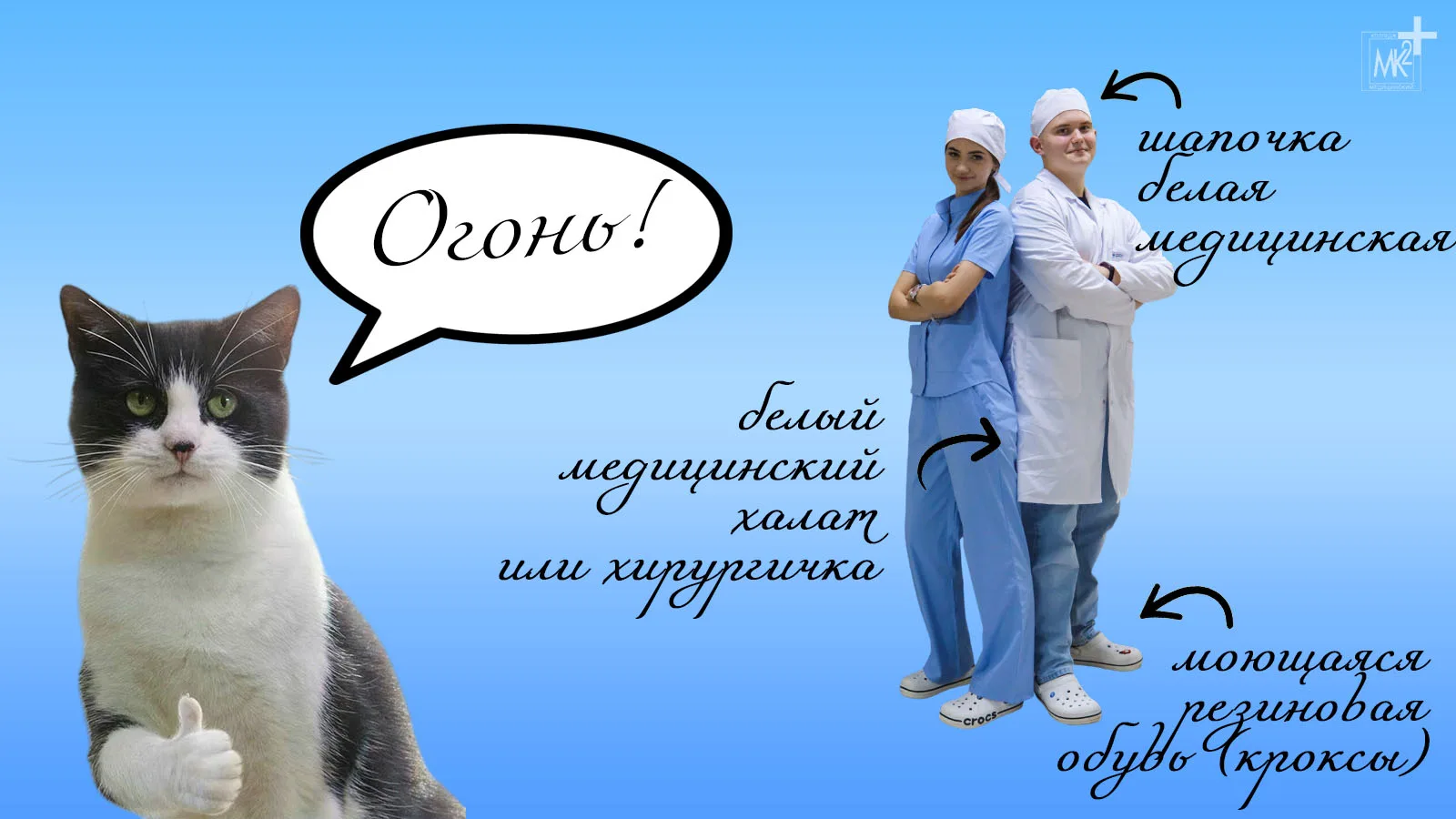 🥼 ДОРОГИЕ ДРУЗЬЯ!