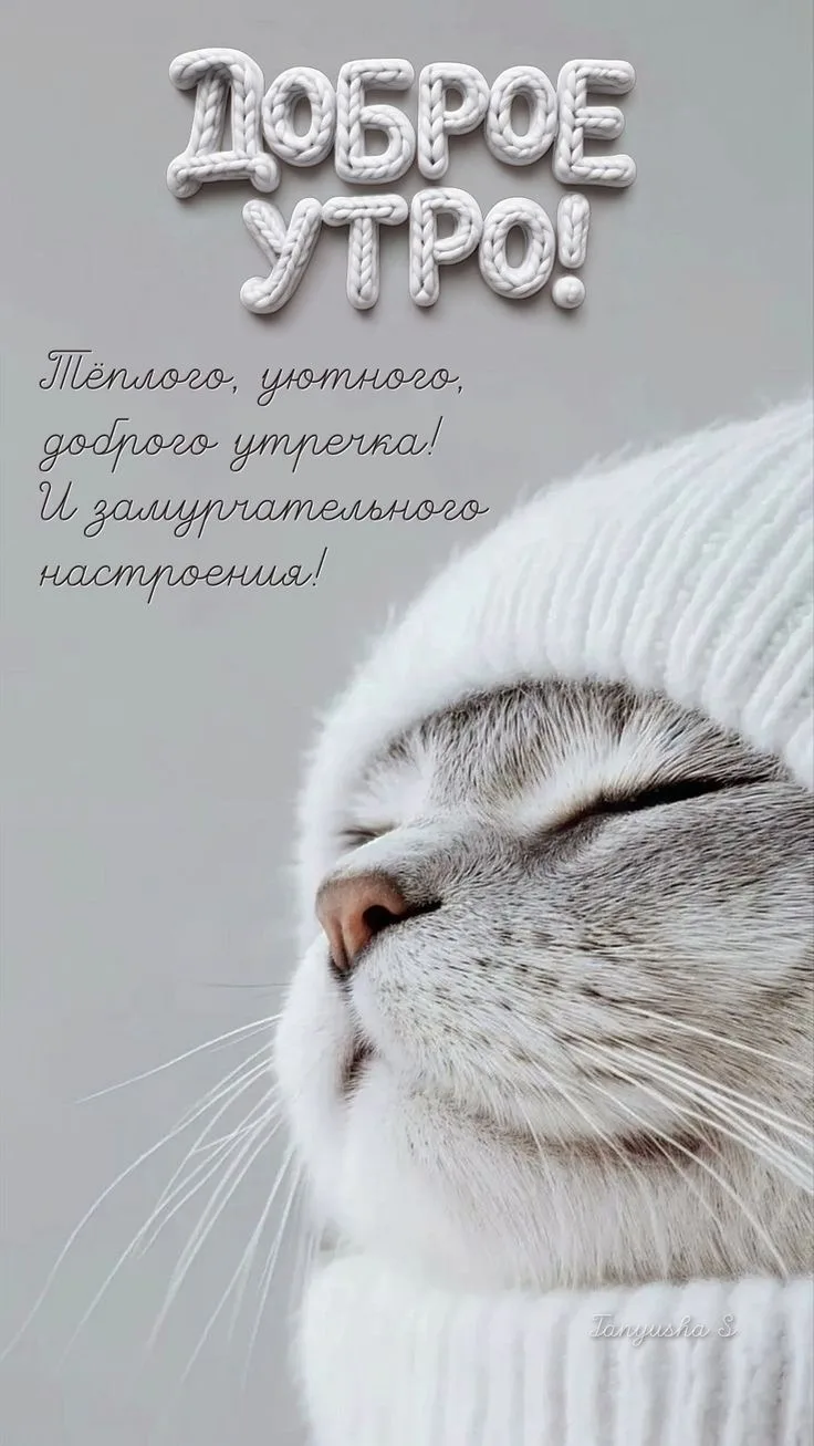 ☀️Доброе утро всем!