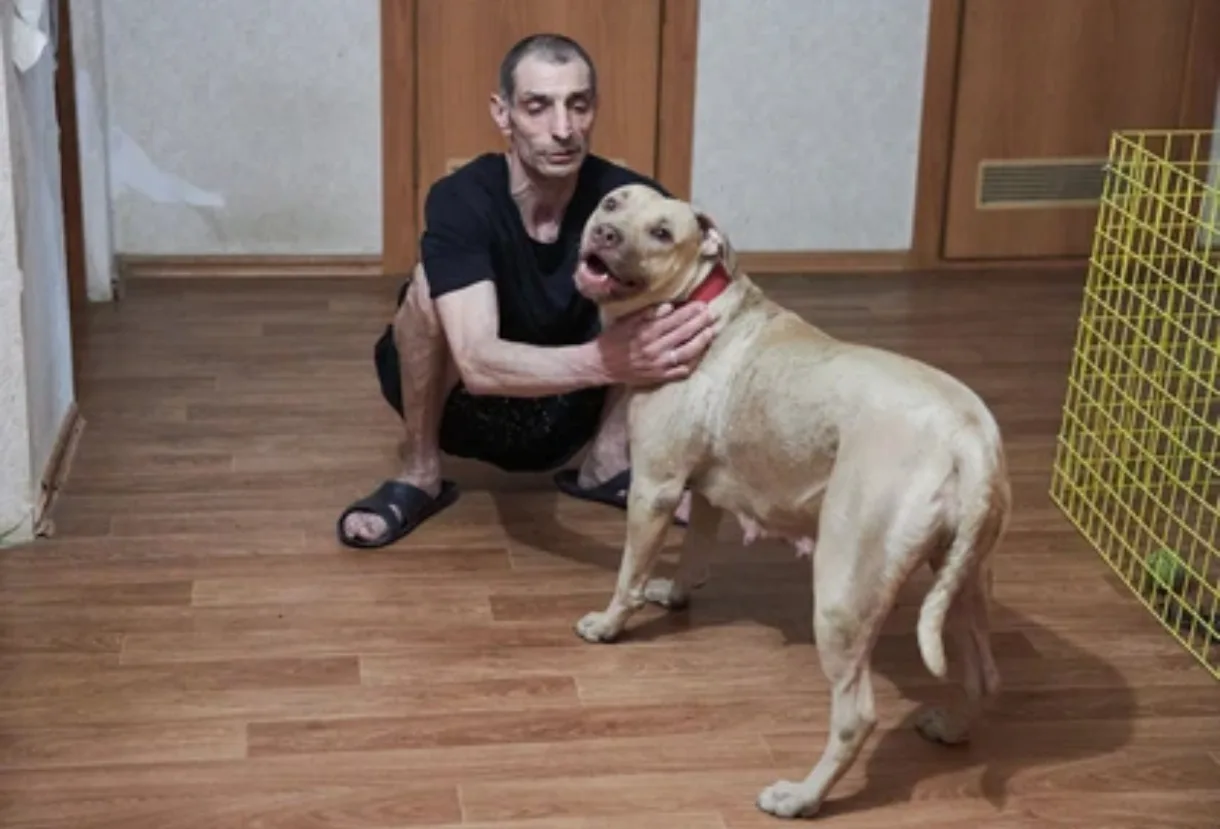 🐕 Питбулей, несколько раз нападавших на людей, после карантина могут вернуть хозяину