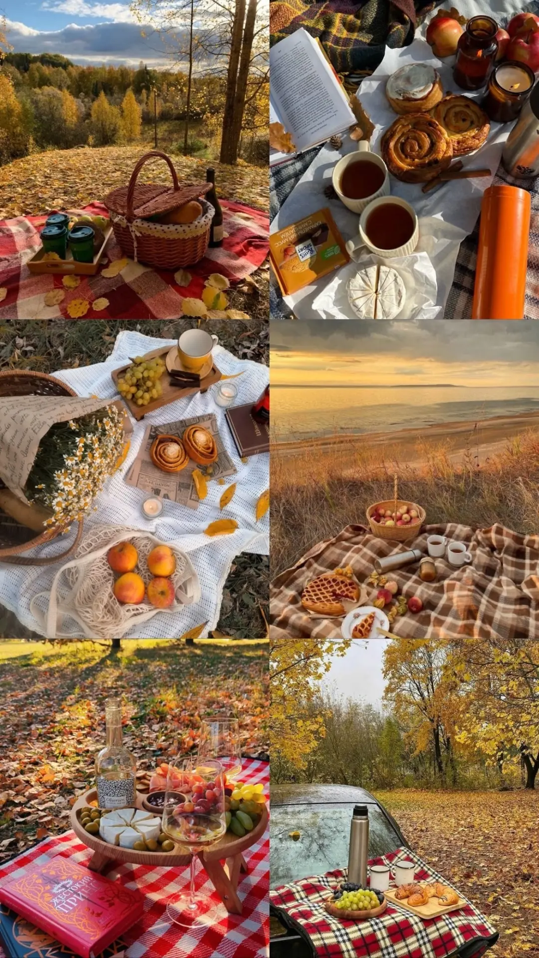 Собираем корзинку на осенний пикник 🍂