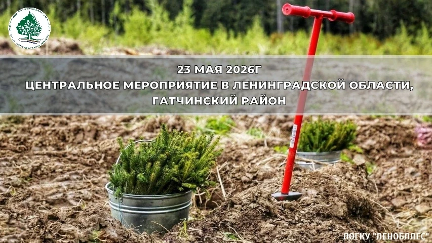 🍀Внимание гостям и участникам акции "Всероссийский день посадки леса"!