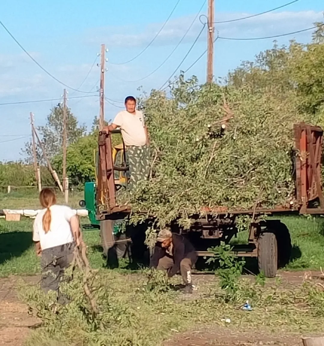Работники РЭС провели работы по обрезке и удалению деревьев и веток, расположенных над ...