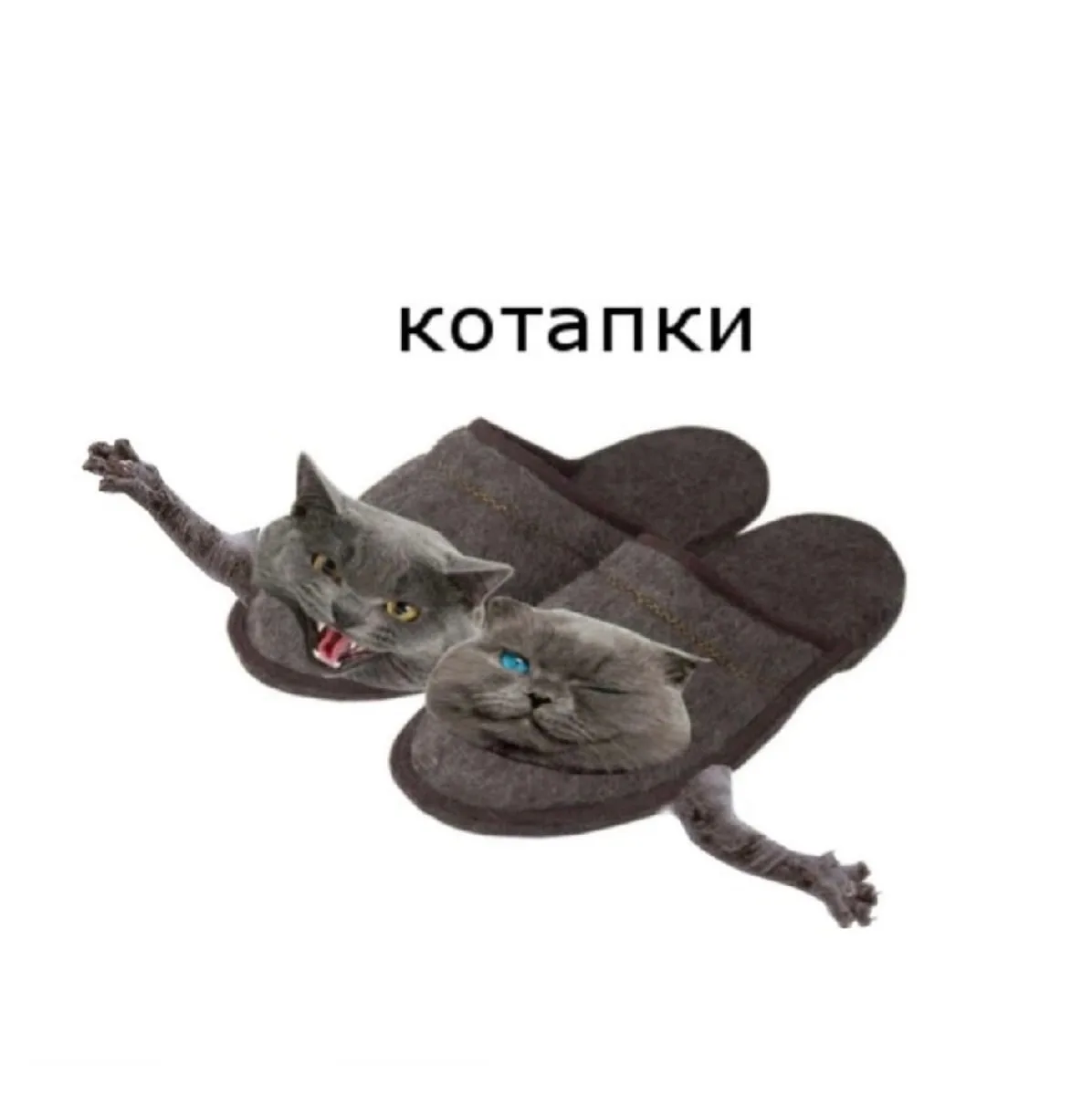 Котапки - 👍