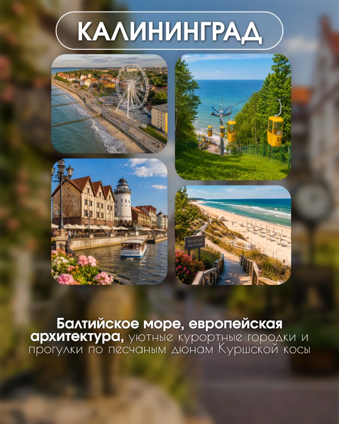 🍂 ОСЕННИЕ ВЫХОДНЫЕ В КАЛИНИНГРАДЕ! ✈️🏰