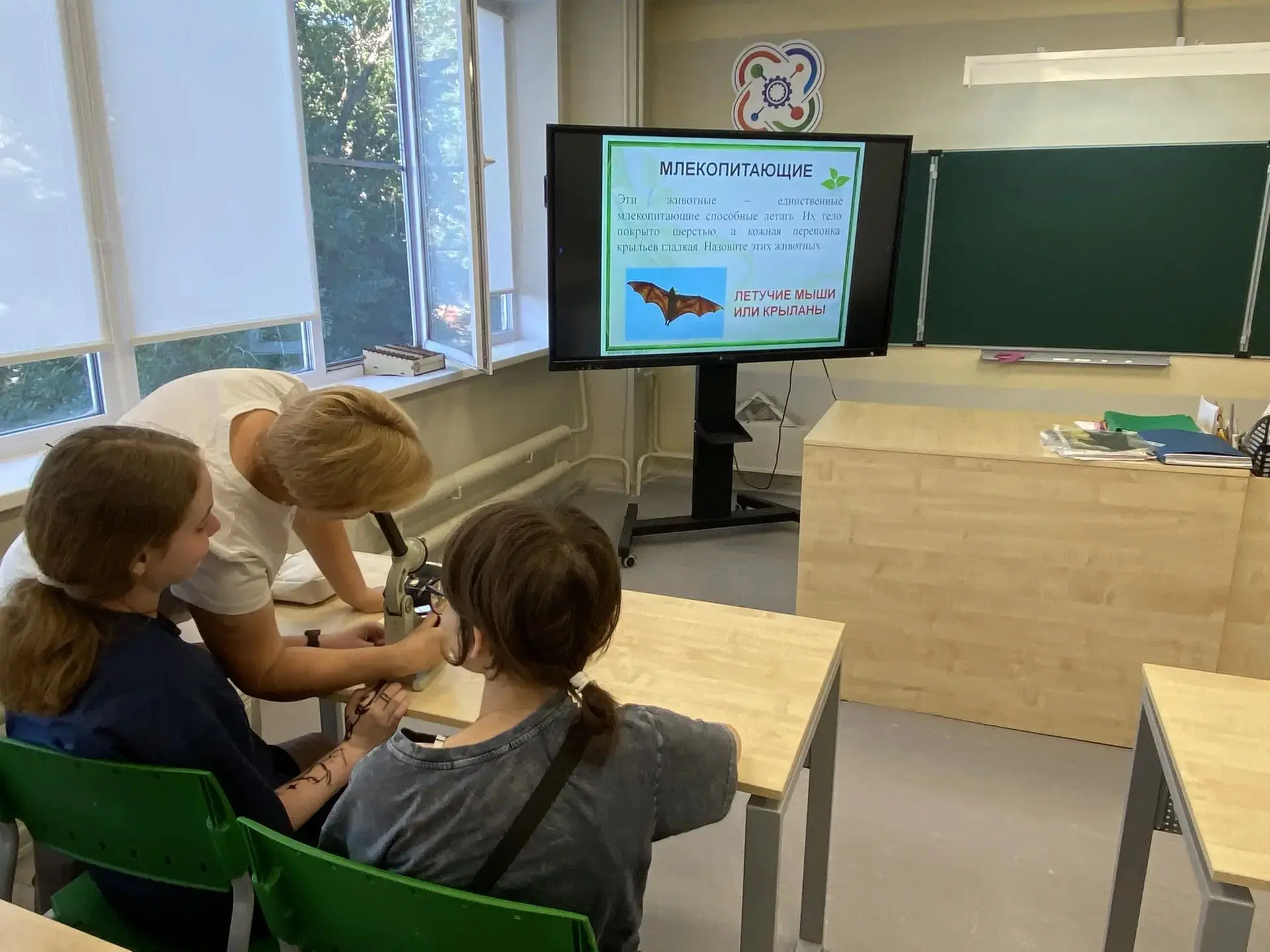 Середина лета! А у нас новый формат проведения вечерней занятий «Своя игра», что  отлично подходит д