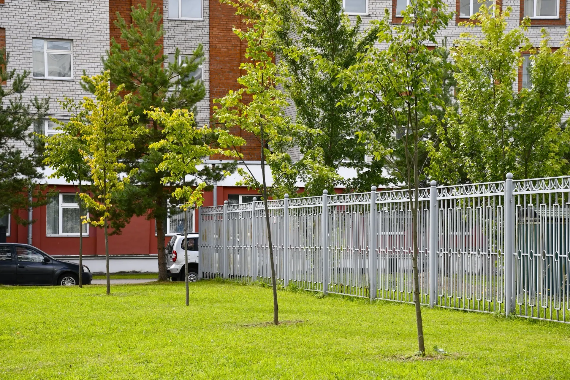 🌲 Друзья, я понимаю вашу тревогу, когда в центре города начинают пилить деревья. Поэто...