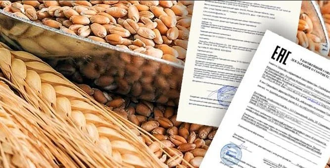 Россельхознадзор признал недействительными две декларации на пшеницу