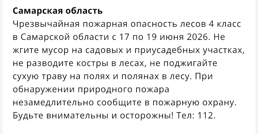 🔥С 17 по 19 июня в Самарской области введут чрезвычайную пожарную опасность лесов 4 кл...
