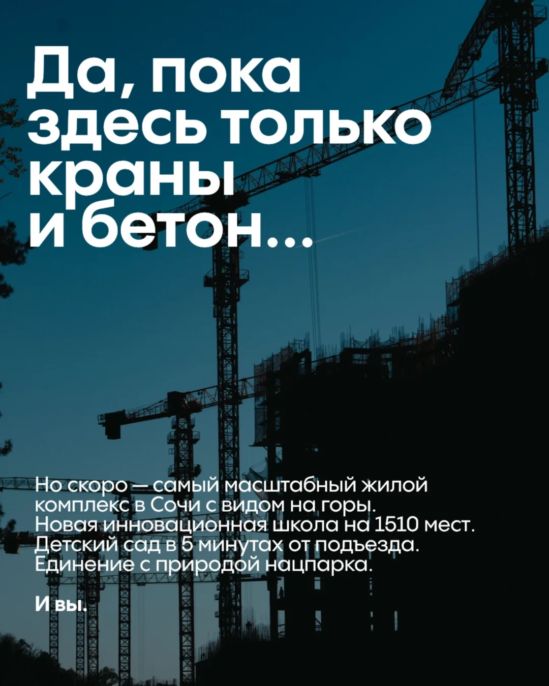 В Сочи живут во многом ради природы, но почти не видят её в будни. «Светский лес» мы строили с одной