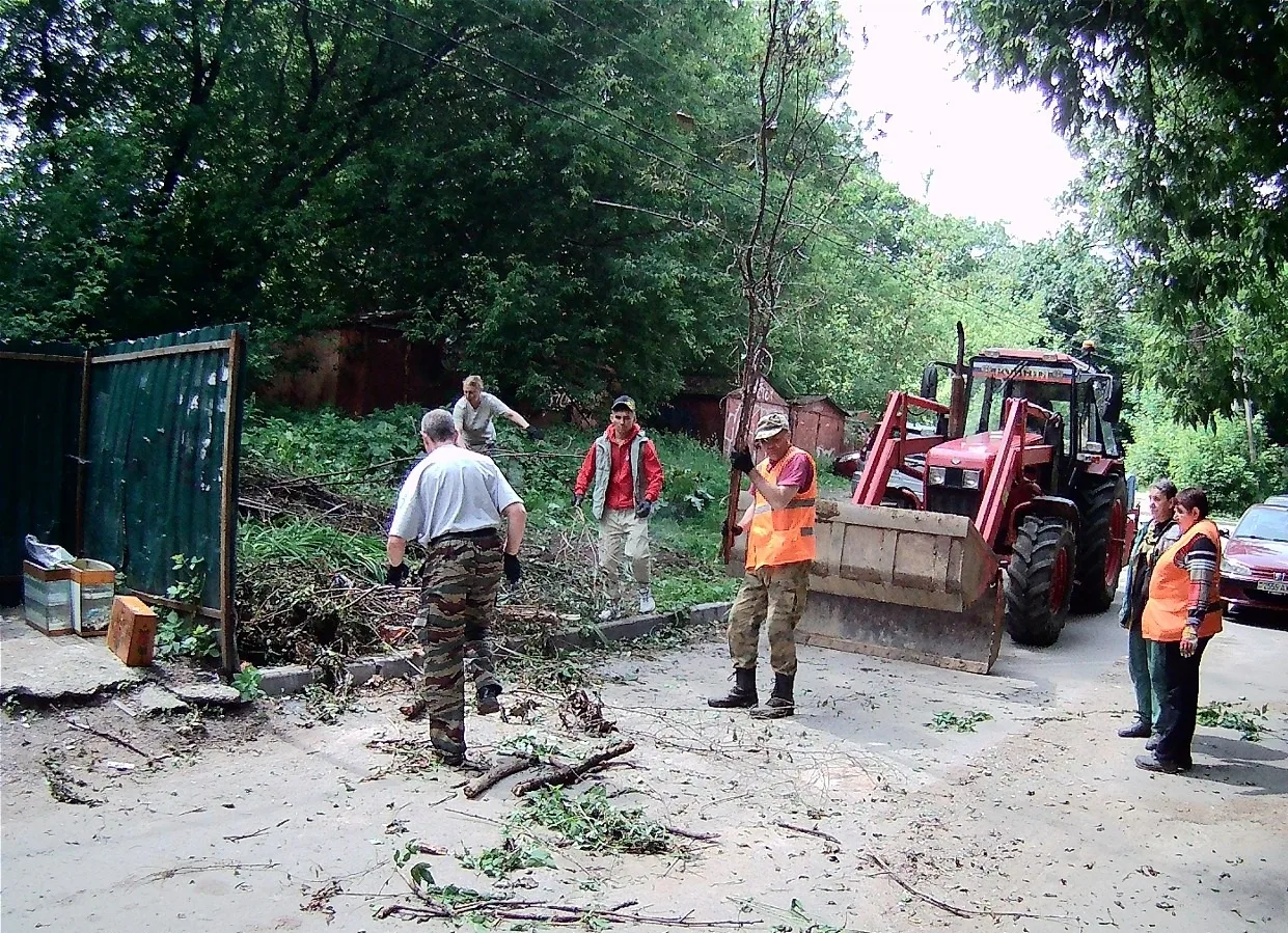 Когда деревьев много, веток становится ещё больше! 🌳🌿 
 
Возле дома №8 по ул.Урицкого ветки буквал