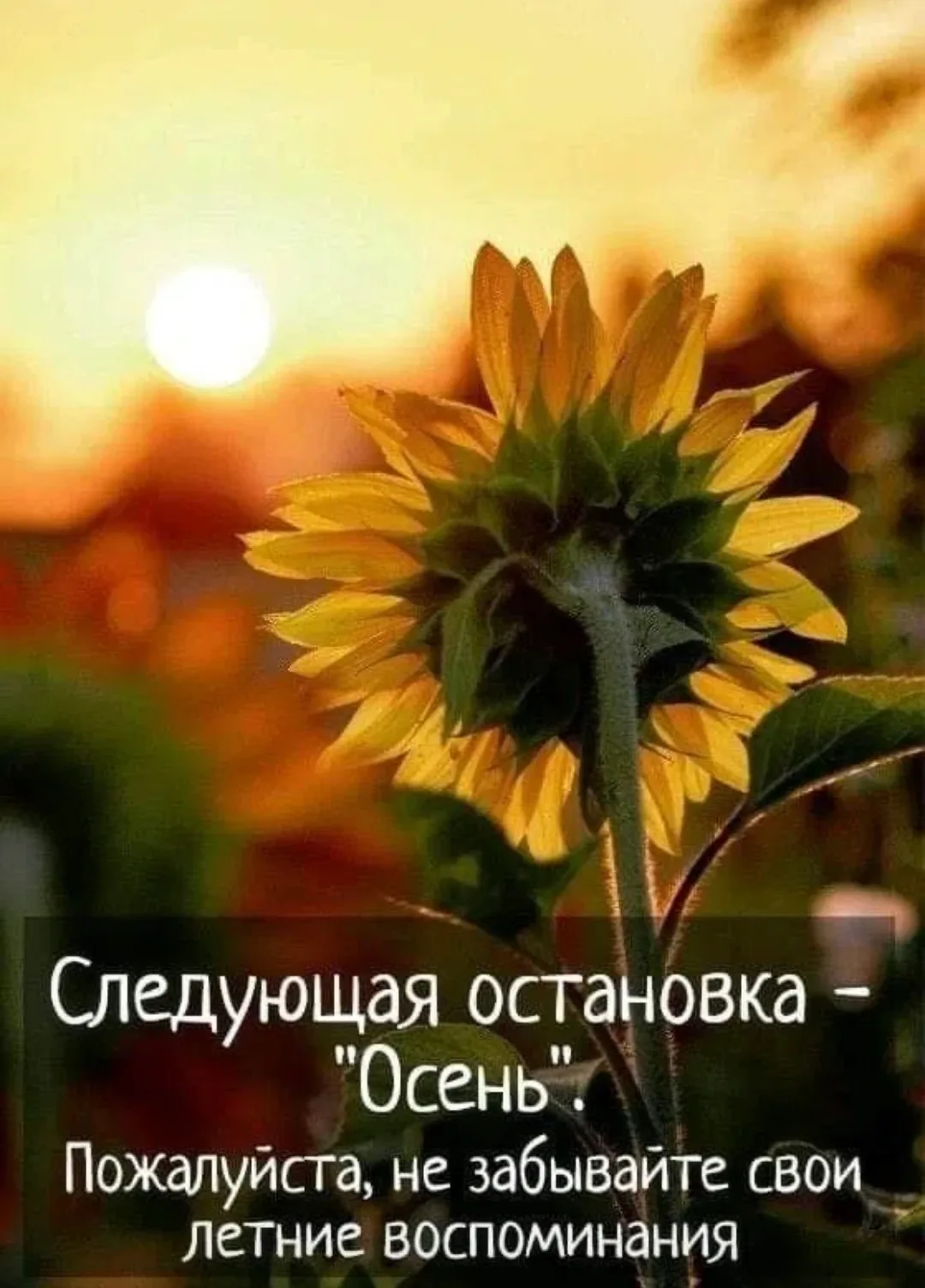 Доброе утро, друзья❤️!