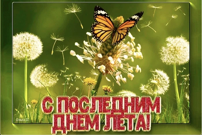 Лето, давай, до свидания! Или как пережить 31 августа без тоски 🍂