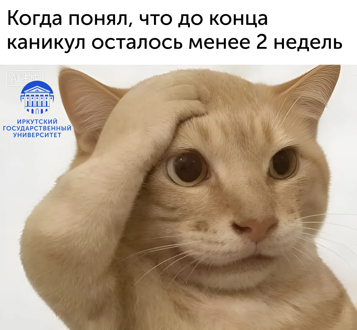 🤔 И в этот момент думаешь, много ли активностей было на каникулах...