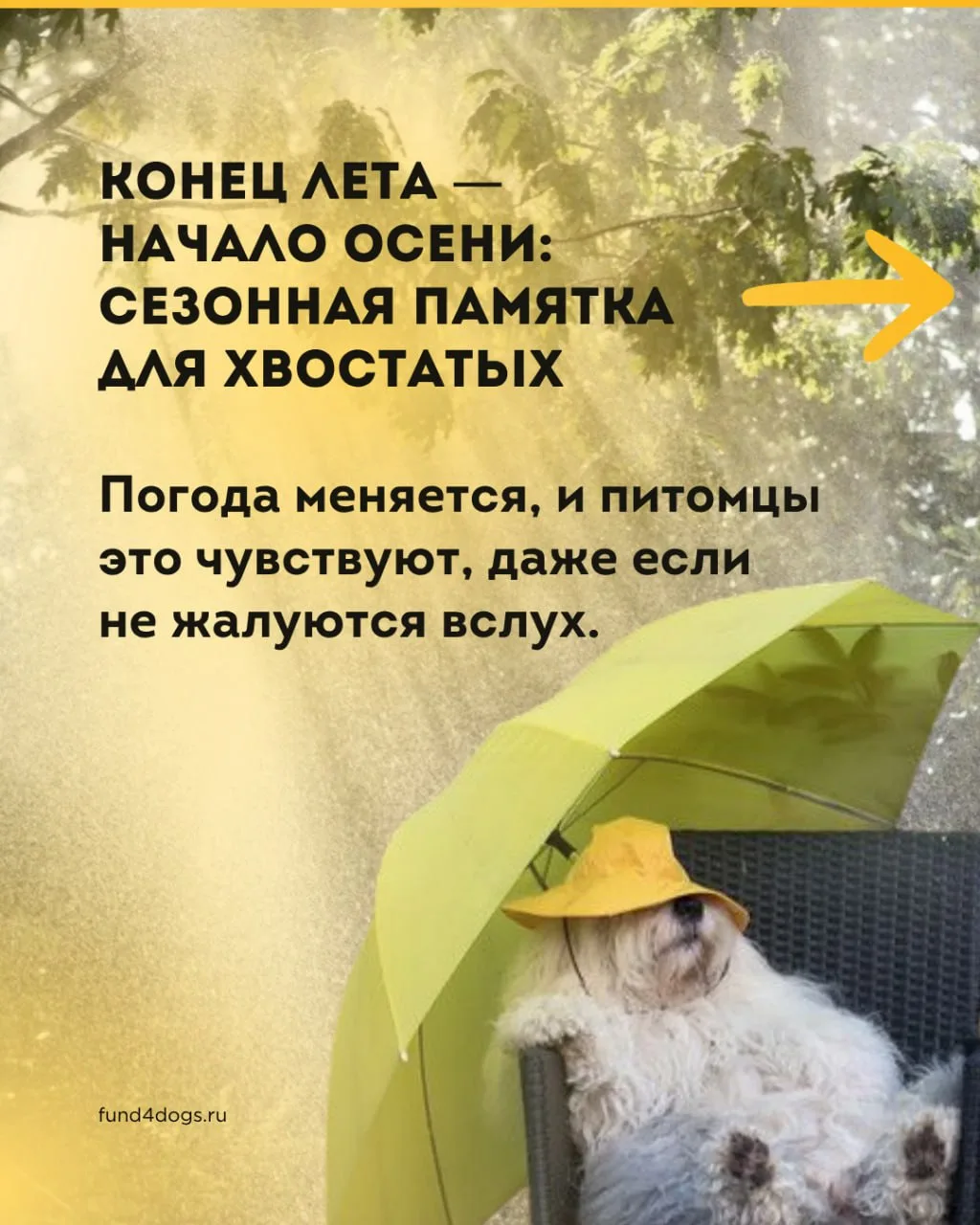 Конец лета - это не только прощание с тёплыми вечерами, но и перемены в привычном ритме...
