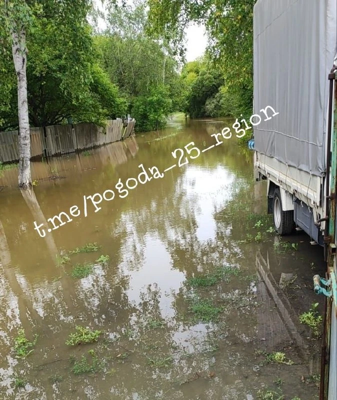 Вот такая обстановка сегодня в Спасском районе, огороды и постройки в воде...
Чкаловское 2.08

➡️Есл