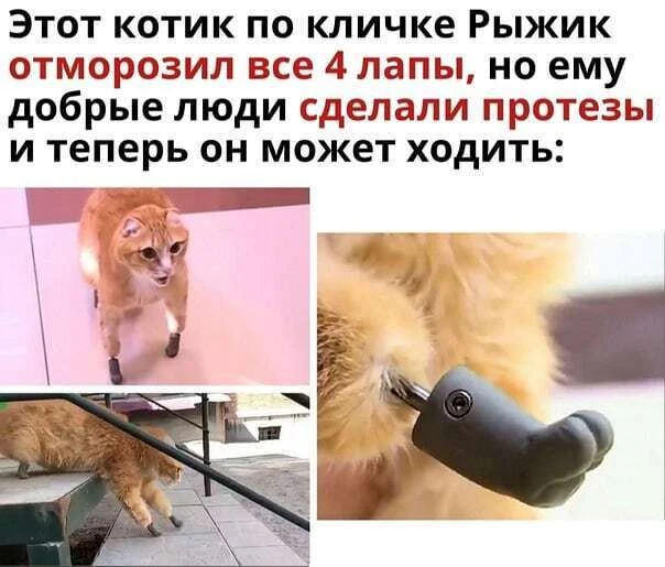 ____________________