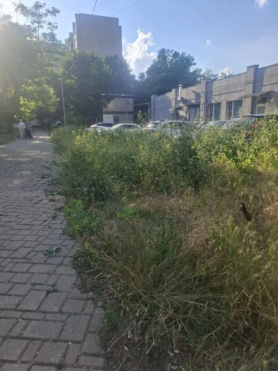 Вход в сквер Дубрава с ул. Бештаугорская, 7 
Вот об этот порядке вещает Гаранжа у себя в чате? Скинь