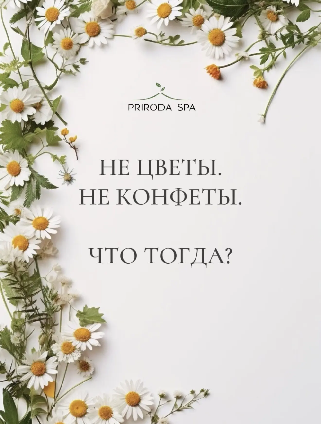 Не цветы. Не конфеты. [🤔]
