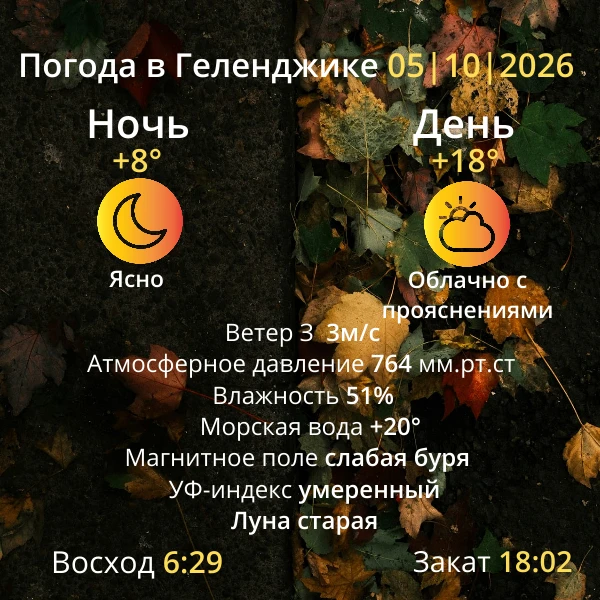Погода на завтра